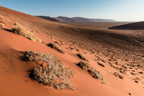 giant sand dunes,namib desert